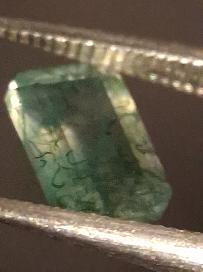 Natural Faceted Agate - Green Moss Agate - 0.463 ct - octagon