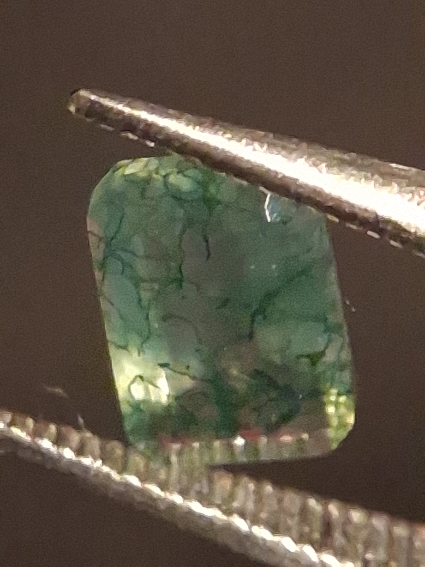 Natural Faceted Agate - Green Moss Agate - 0.463 ct - octagon