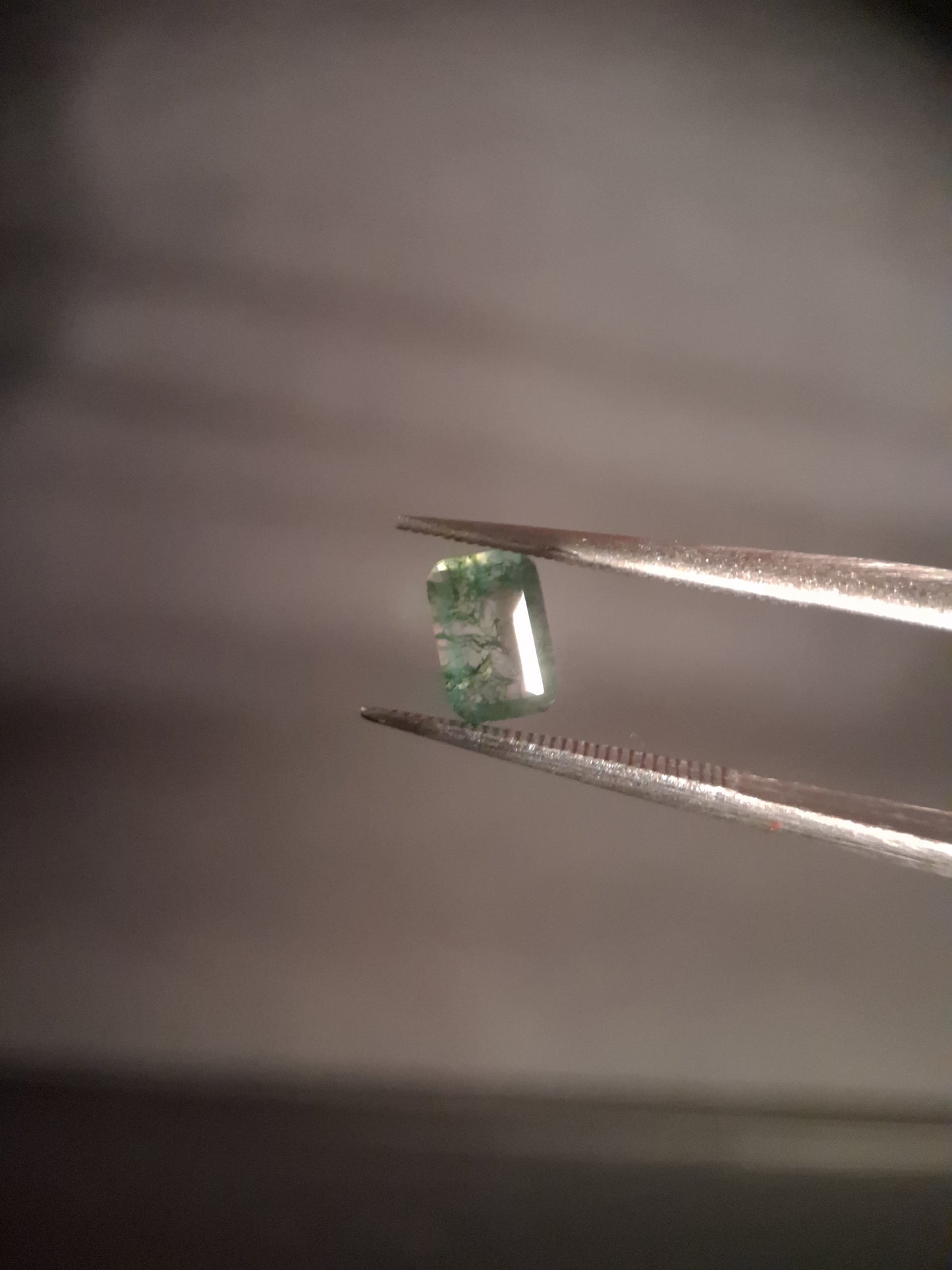 Natural Faceted Agate - Green Moss Agate - 0.480 ct - octagon