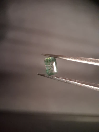 Natural Faceted Agate - Green Moss Agate - 0.480 ct - octagon