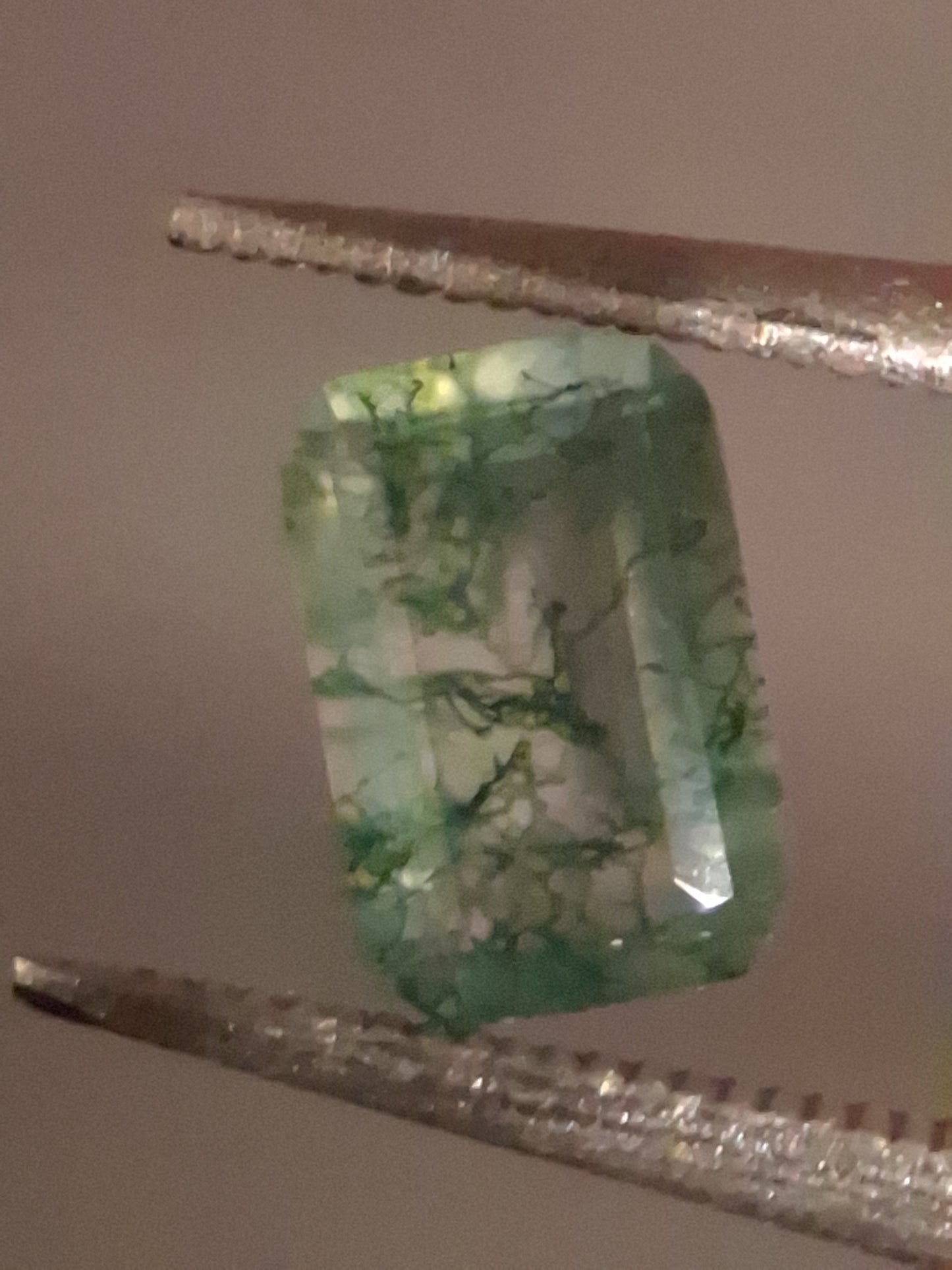 Natural Faceted Agate - Green Moss Agate - 0.480 ct - octagon