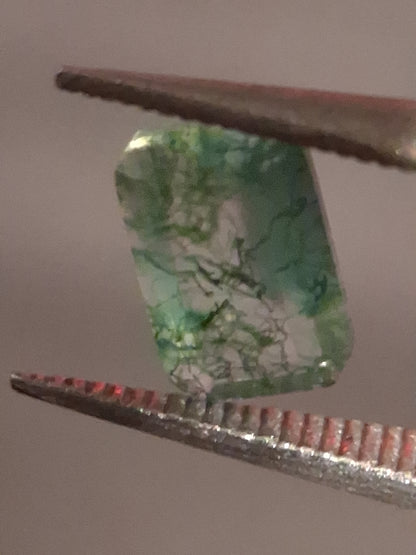 Natural Faceted Agate - Green Moss Agate - 0.480 ct - octagon