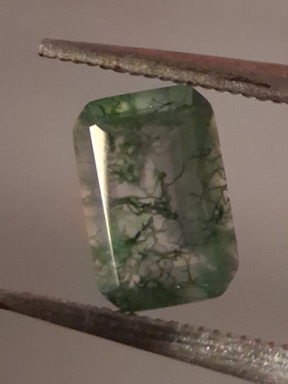 Natural Faceted Agate - Green Moss Agate - 0.480 ct - octagon