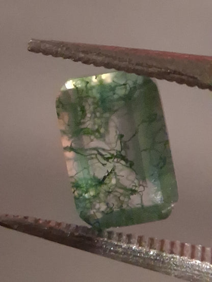 Natural Faceted Agate - Green Moss Agate - 0.480 ct - octagon