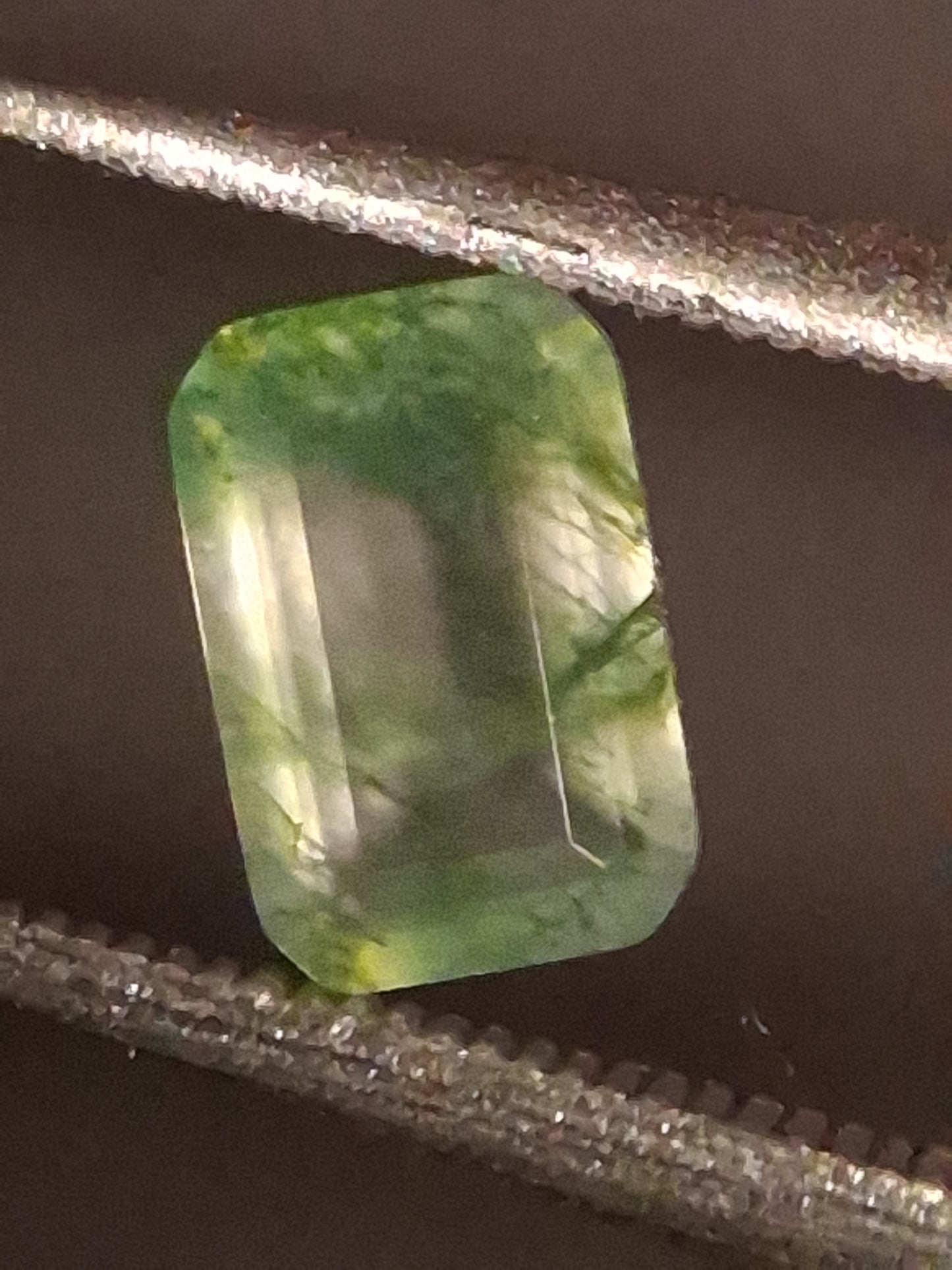 Natural Faceted Agate - Green Moss Agate - 0.459 ct - octagon