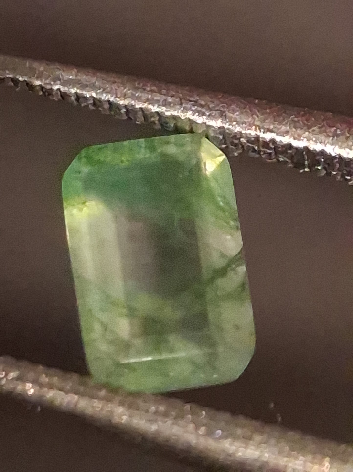 Natural Faceted Agate - Green Moss Agate - 0.459 ct - octagon