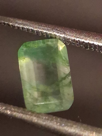 Natural Faceted Agate - Green Moss Agate - 0.459 ct - octagon