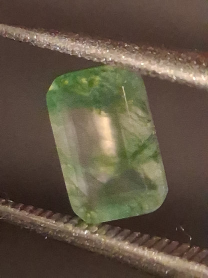 Natural Faceted Agate - Green Moss Agate - 0.459 ct - octagon