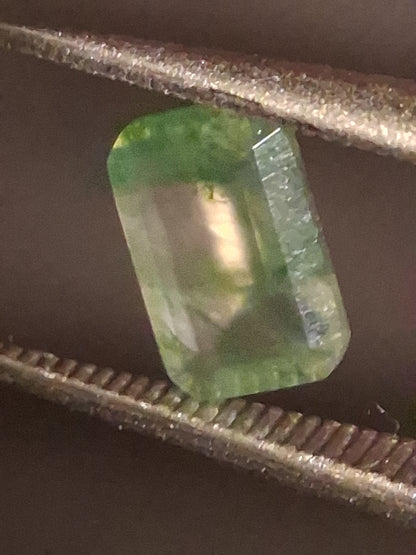 Natural Faceted Agate - Green Moss Agate - 0.459 ct - octagon