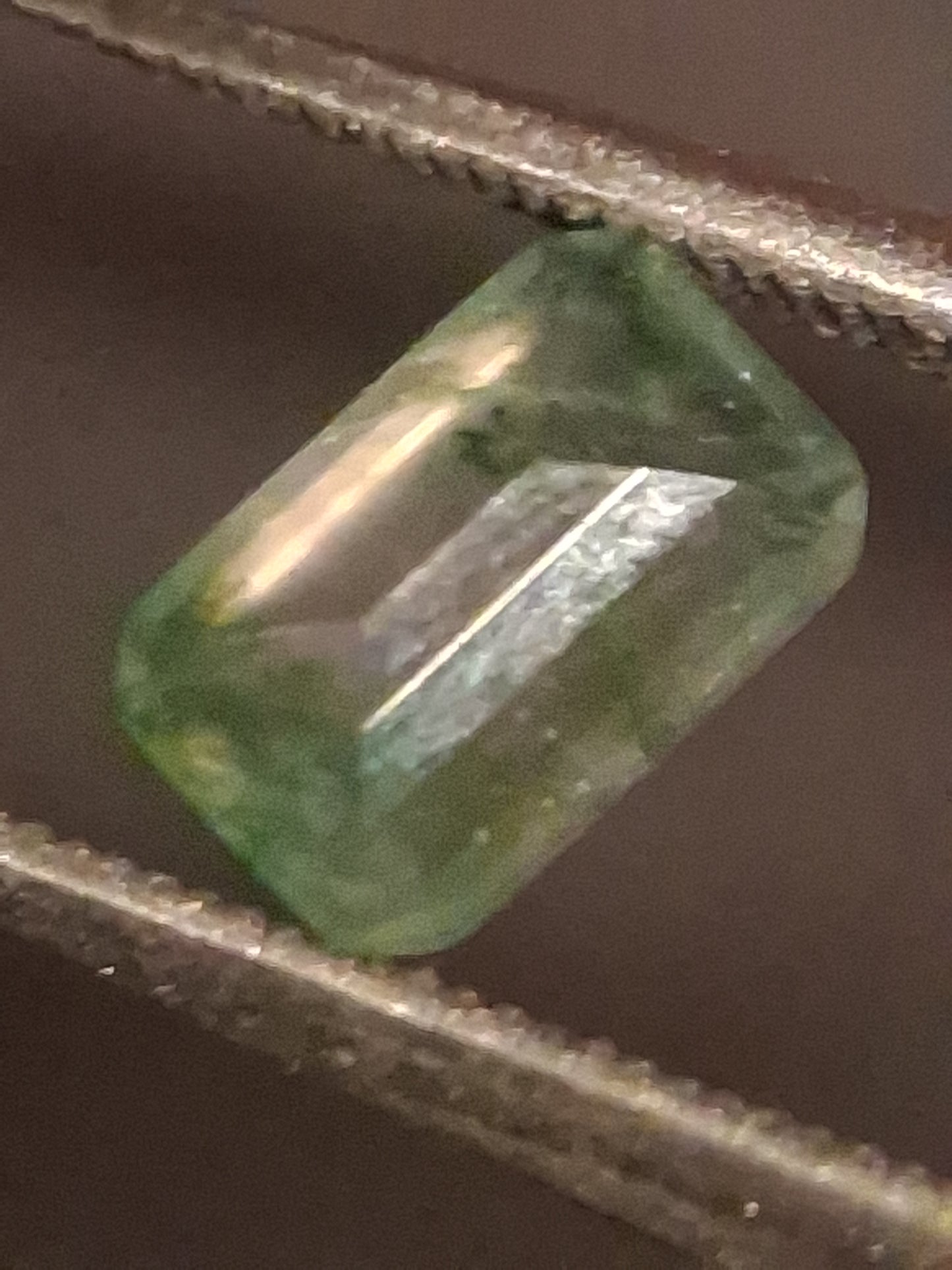 Natural Faceted Agate - Green Moss Agate - 0.459 ct - octagon