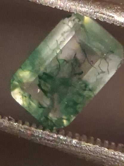 Natural Faceted Agate - Green Moss Agate - 0.482 ct - octagon