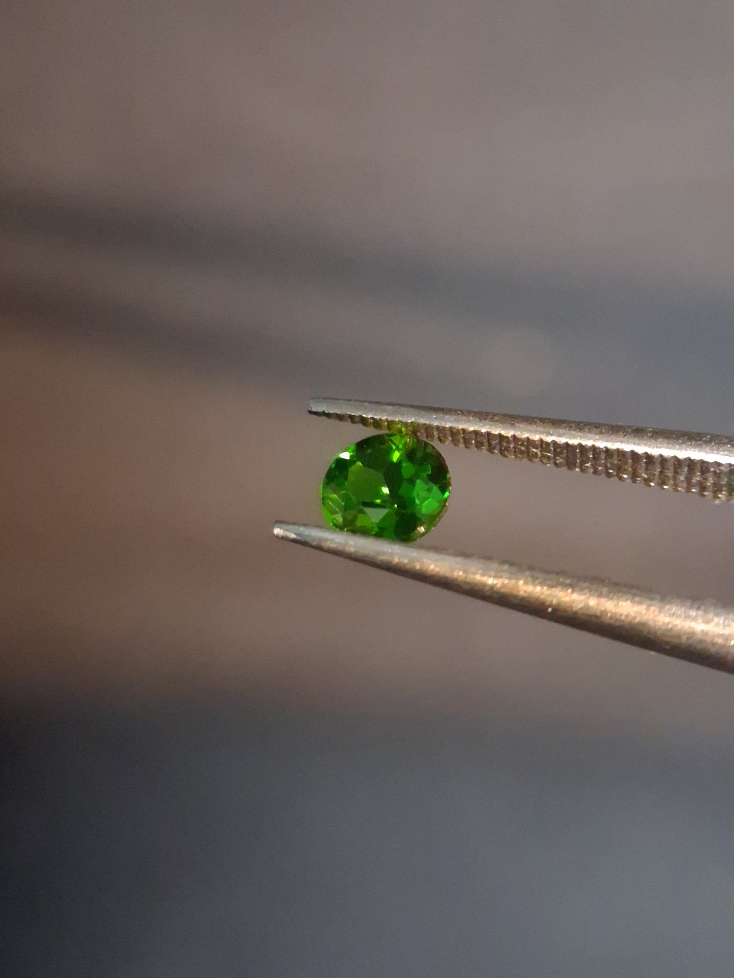 Natural Diopside - 0.265 ct - round - green - chromium diopside - Natural Gems Belgium