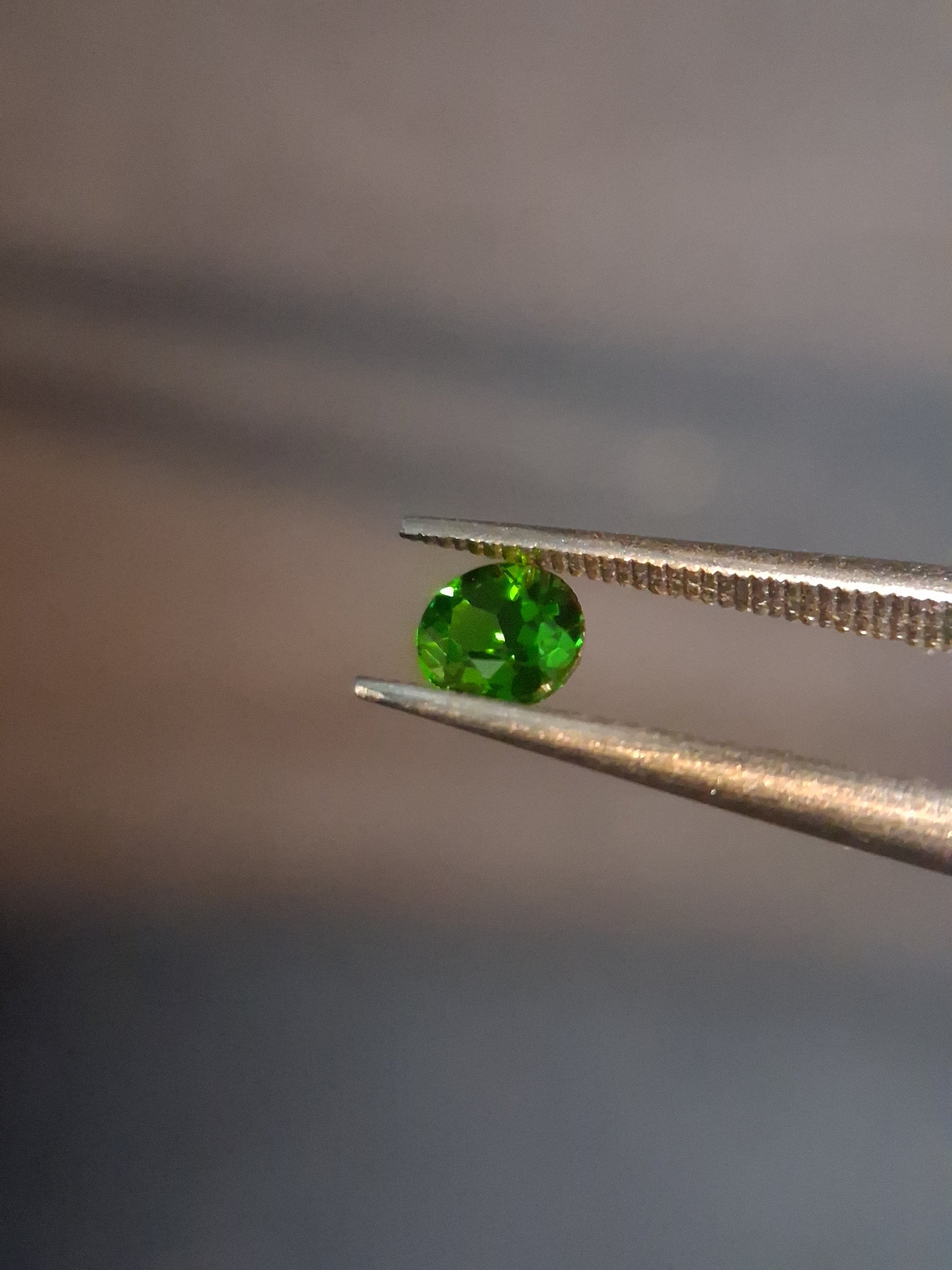 Natural Diopside - 0.265 ct - round - green - chromium diopside - Natural Gems Belgium