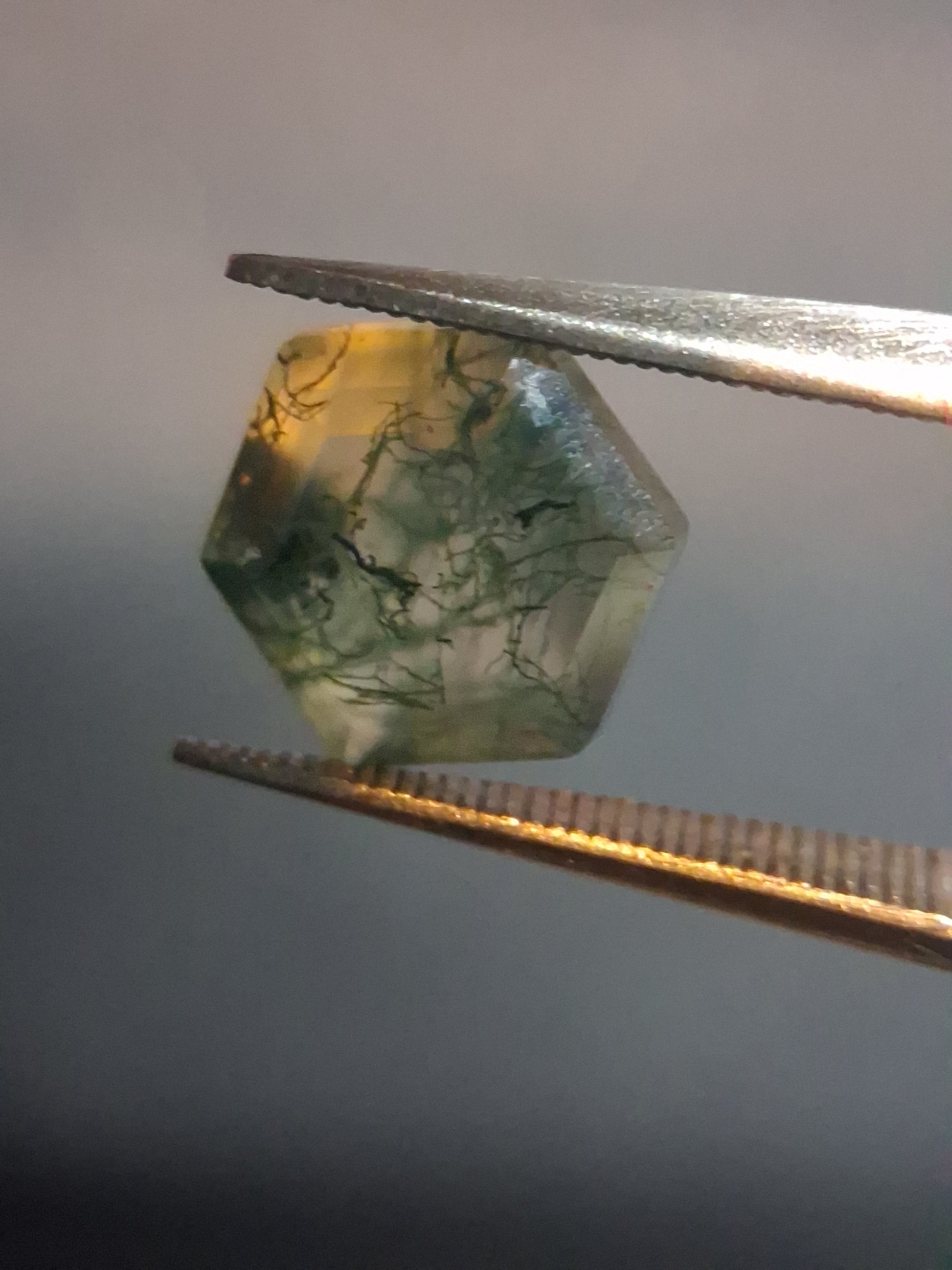 Natural Faceted Agate - Green Moss Agate - 2.035 ct - hexagon - Natural Gems Belgium