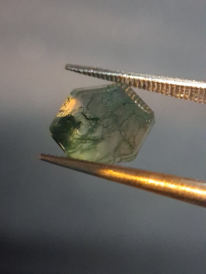 Natural Faceted Agate - Green Moss Agate - 2.035 ct - hexagon - Natural Gems Belgium