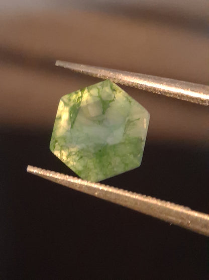 Natural Faceted Agate - Green Moss Agate - 2.038 ct - hexagon - Natural Gems Belgium