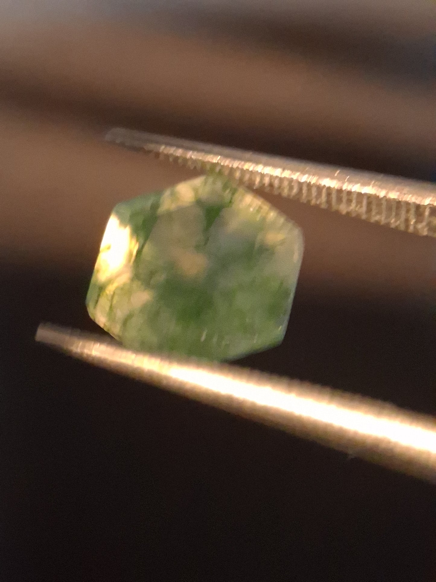 Natural Faceted Agate - Green Moss Agate - 2.038 ct - hexagon - Natural Gems Belgium