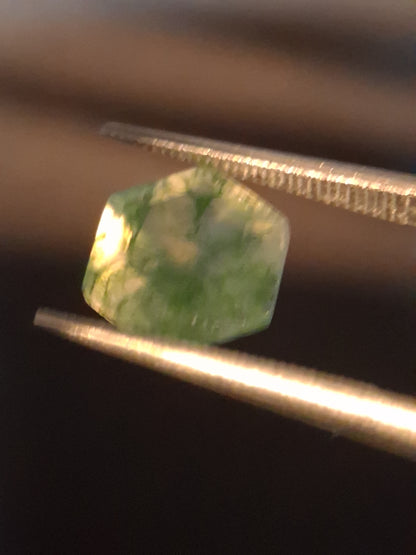 Natural Faceted Agate - Green Moss Agate - 2.038 ct - hexagon - Natural Gems Belgium