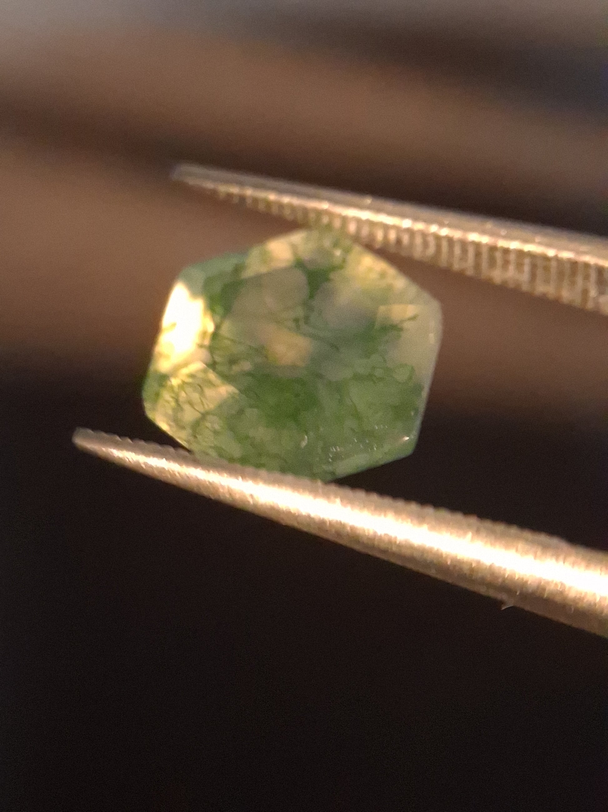 Natural Faceted Agate - Green Moss Agate - 2.038 ct - hexagon - Natural Gems Belgium