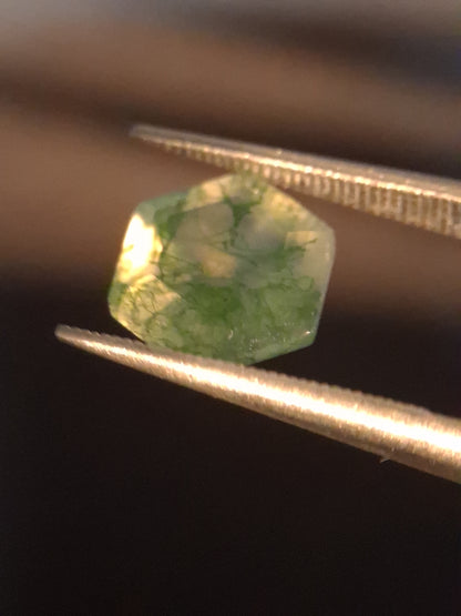 Natural Faceted Agate - Green Moss Agate - 2.038 ct - hexagon - Natural Gems Belgium
