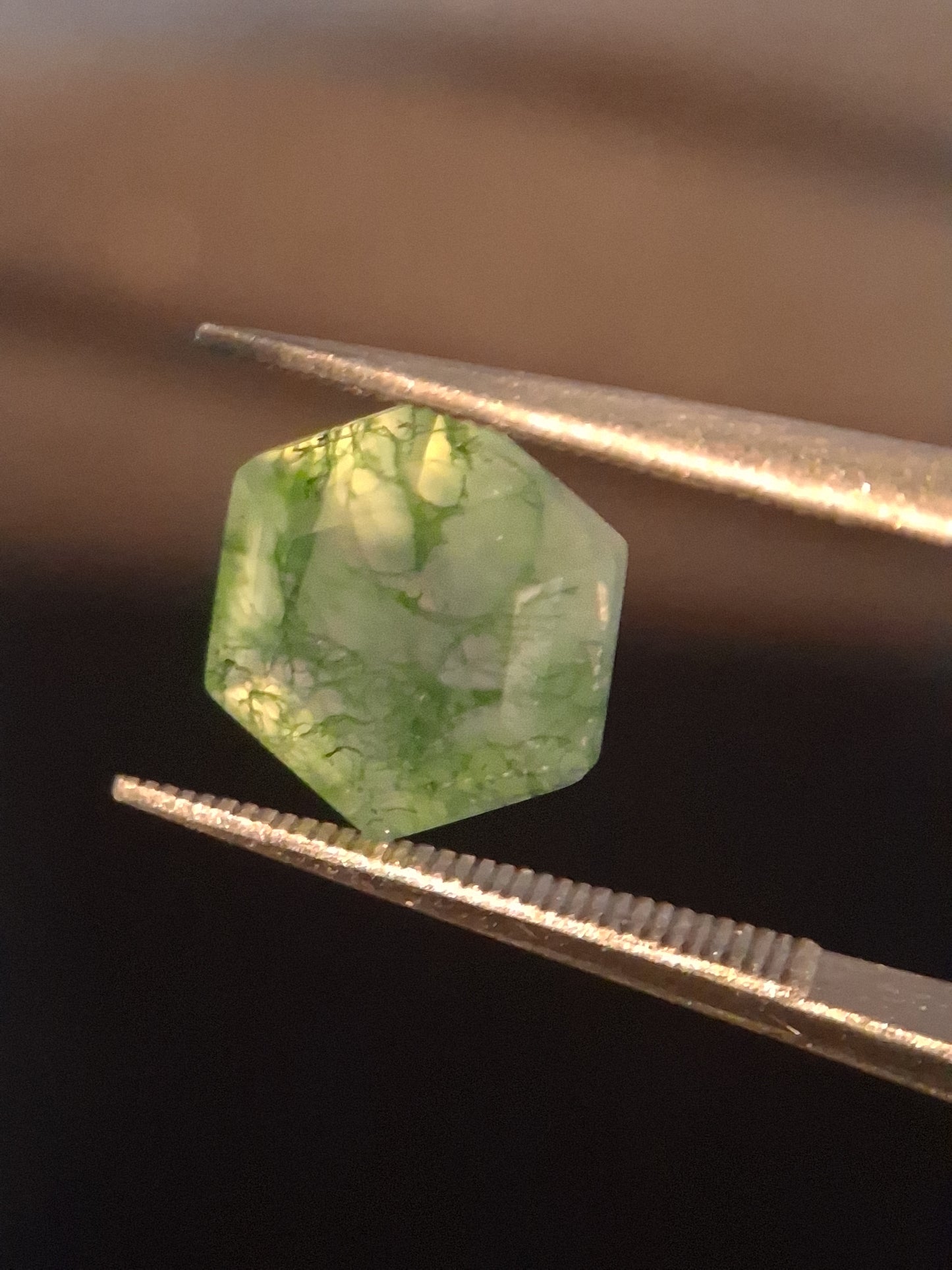 Natural Faceted Agate - Green Moss Agate - 2.038 ct - hexagon - Natural Gems Belgium