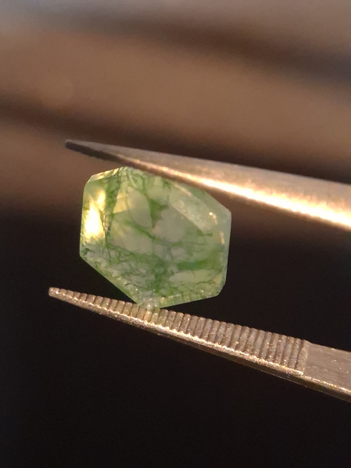 Natural Faceted Agate - Green Moss Agate - 2.038 ct - hexagon - Natural Gems Belgium