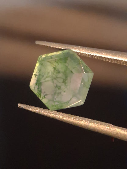 Natural Faceted Agate - Green Moss Agate - 2.038 ct - hexagon - Natural Gems Belgium