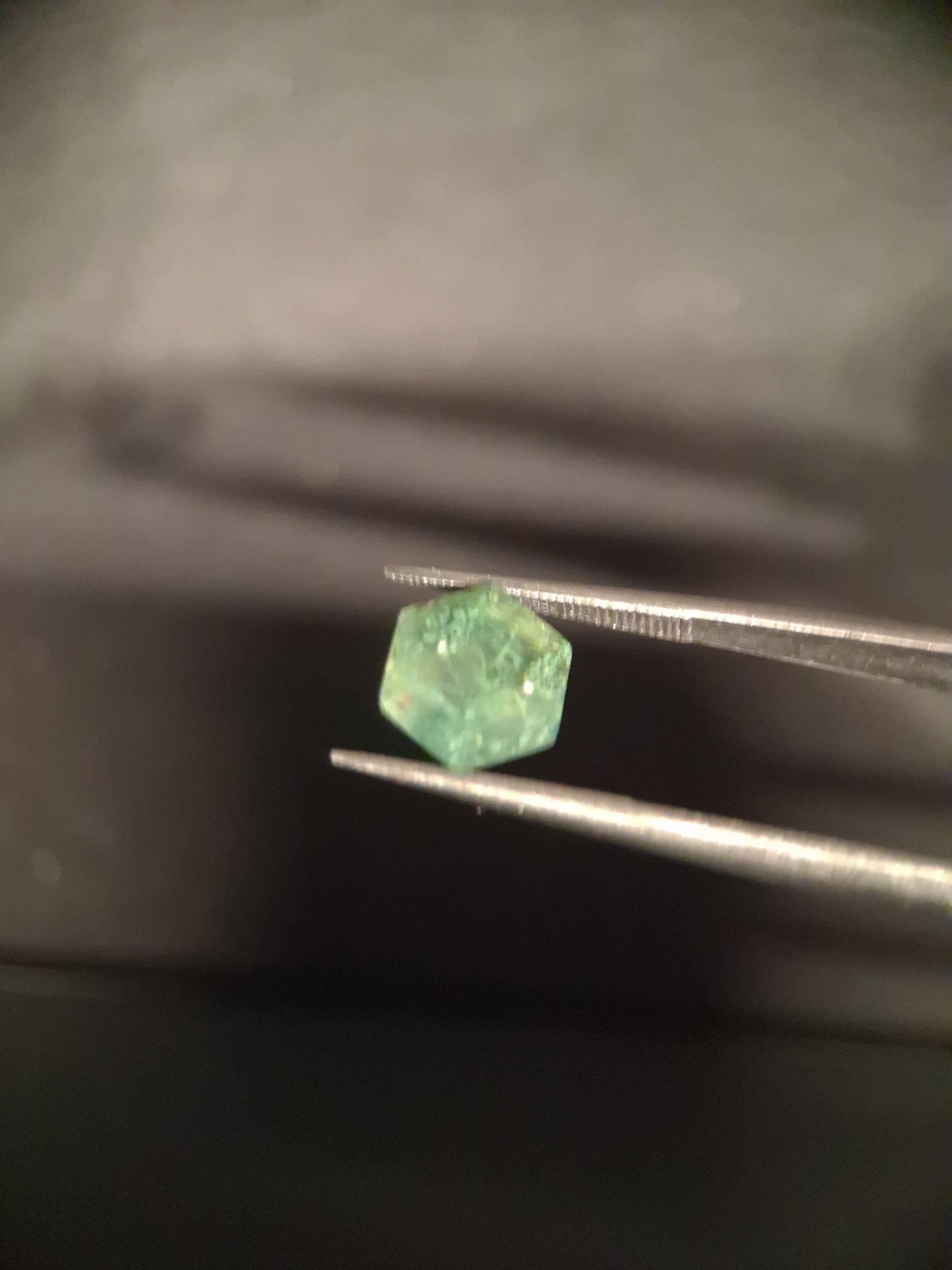 Natural Faceted Agate - Green Moss Agate - 1.990 ct - hexagon - Natural Gems Belgium