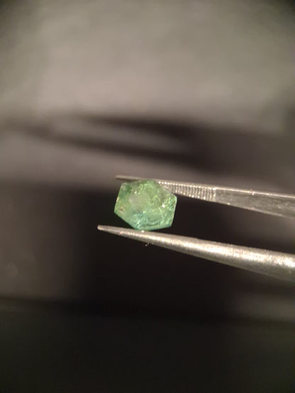 Natural Faceted Agate - Green Moss Agate - 1.990 ct - hexagon - Natural Gems Belgium