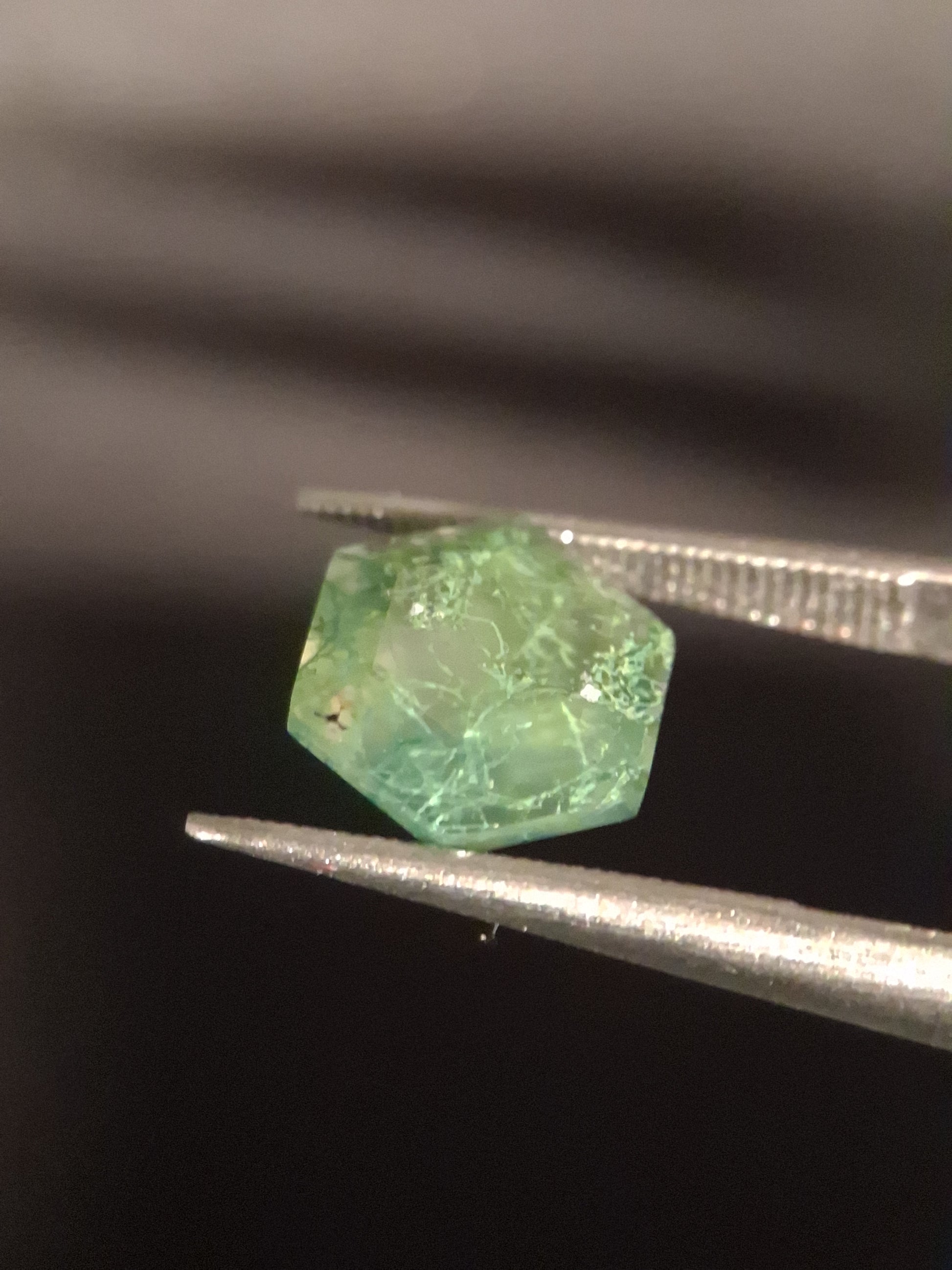 Natural Faceted Agate - Green Moss Agate - 1.990 ct - hexagon - Natural Gems Belgium