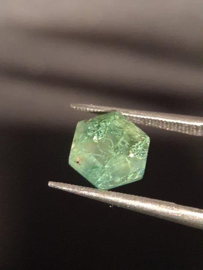 Natural Faceted Agate - Green Moss Agate - 1.990 ct - hexagon - Natural Gems Belgium