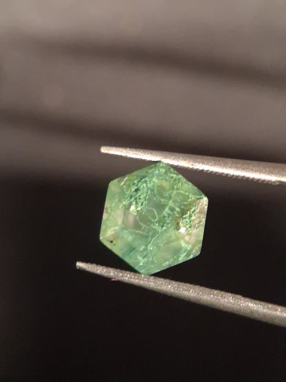 Natural Faceted Agate - Green Moss Agate - 1.990 ct - hexagon - Natural Gems Belgium