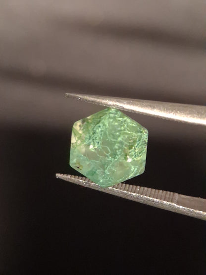 Natural Faceted Agate - Green Moss Agate - 1.990 ct - hexagon - Natural Gems Belgium
