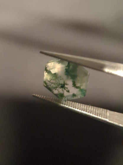 Natural Faceted Agate - Green Moss Agate - 2.015 ct - hexagon - Natural Gems Belgium