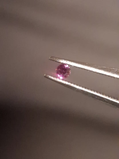 Natural Pink Sapphire - 0.041 ct -2mm Round cut - unheated - Africa - high quality
