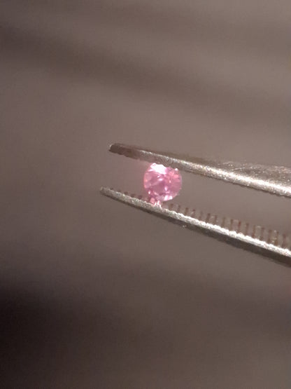 Natural Pink Sapphire - 0.042 ct -2mm Round cut - unheated - Africa - high quality