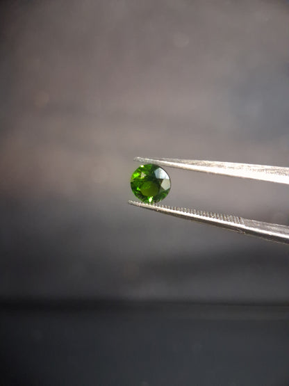 Natural Diopside - 0.504 ct - round - 5mm - green - chromium diopside - Natural Gems Belgium