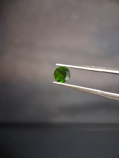 Natural Diopside - 0.504 ct - round - 5mm - green - chromium diopside - Natural Gems Belgium