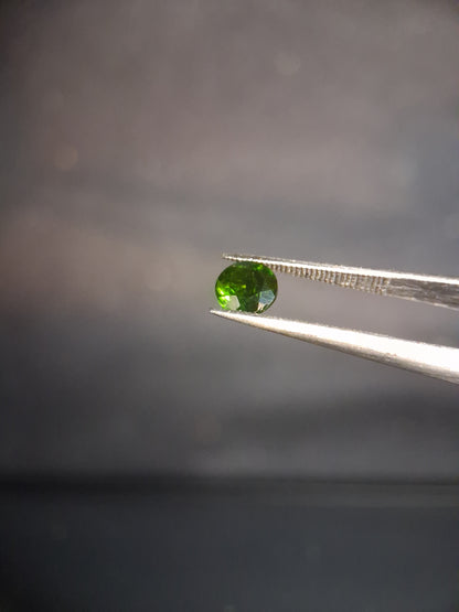Natural Diopside - 0.504 ct - round - 5mm - green - chromium diopside - Natural Gems Belgium