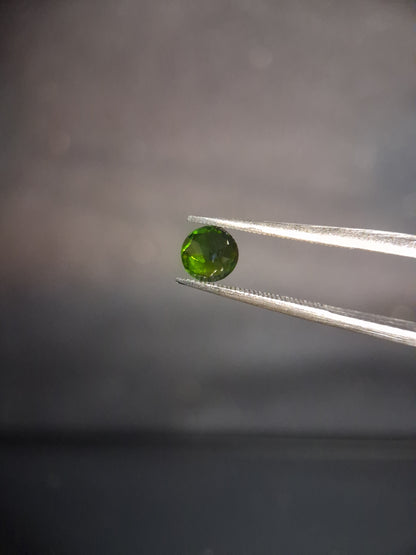 Natural Diopside - 0.504 ct - round - 5mm - green - chromium diopside - Natural Gems Belgium