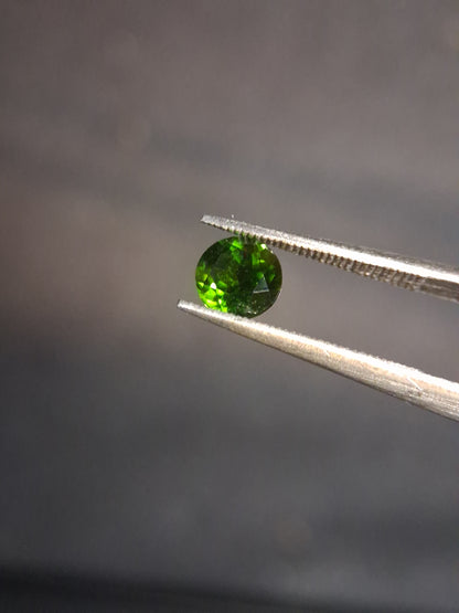 Natural Diopside - 0.590 ct - round - 5mm - green - chromium diopside - Natural Gems Belgium