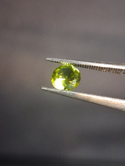 Natural Peridot - 0.538 ct - round - unheated - green - Natural Gems Belgium