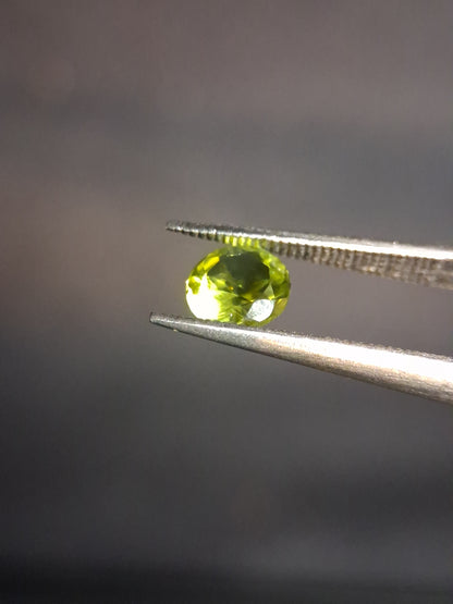Natural Peridot - 0.538 ct - round - unheated - green - Natural Gems Belgium