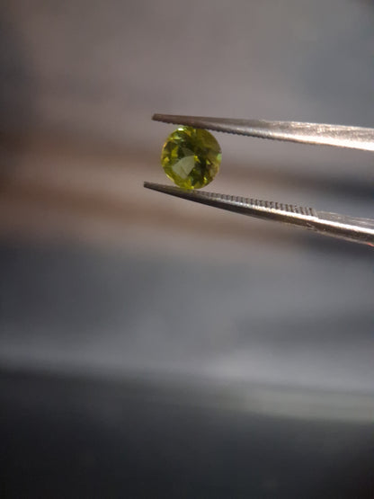 Natural Peridot - 0.535 ct - round - unheated - collectors item (lily pad) - Natural Gems Belgium