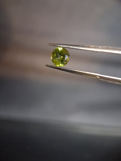 Natural Peridot - 0.535 ct - round - unheated - collectors item (lily pad) - Natural Gems Belgium