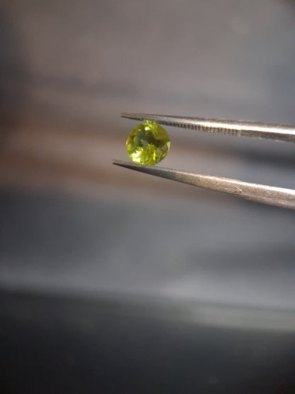 Natural Peridot - 0.535 ct - round - unheated - collectors item (lily pad) - Natural Gems Belgium