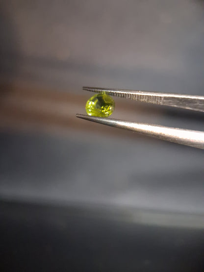 Natural Peridot - 0.535 ct - round - unheated - collectors item (lily pad) - Natural Gems Belgium