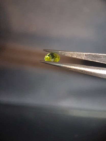 Natural Peridot - 0.535 ct - round - unheated - collectors item (lily pad) - Natural Gems Belgium