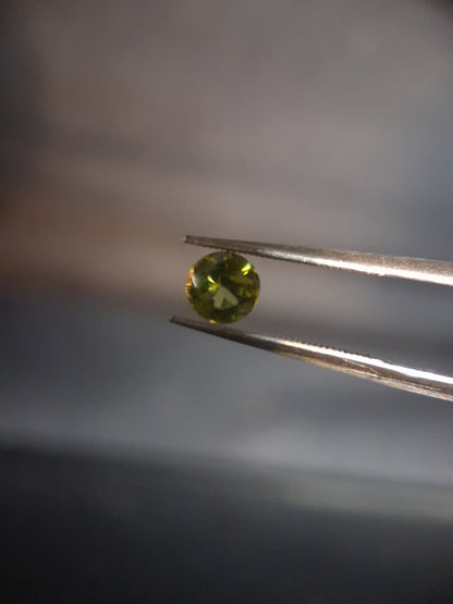 Natural Peridot - 0.515 ct - round - unheated- green peridot - Natural Gems Belgium