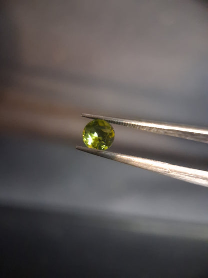 Natural Peridot - 0.515 ct - round - unheated- green peridot - Natural Gems Belgium